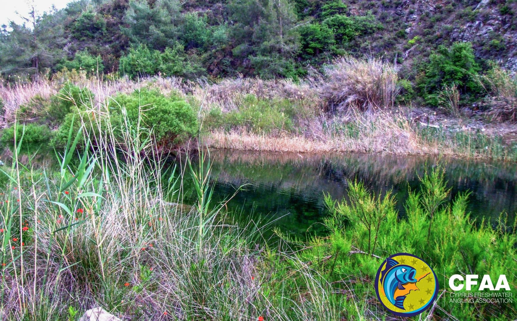 Argaka-Makounta Reservoir preview