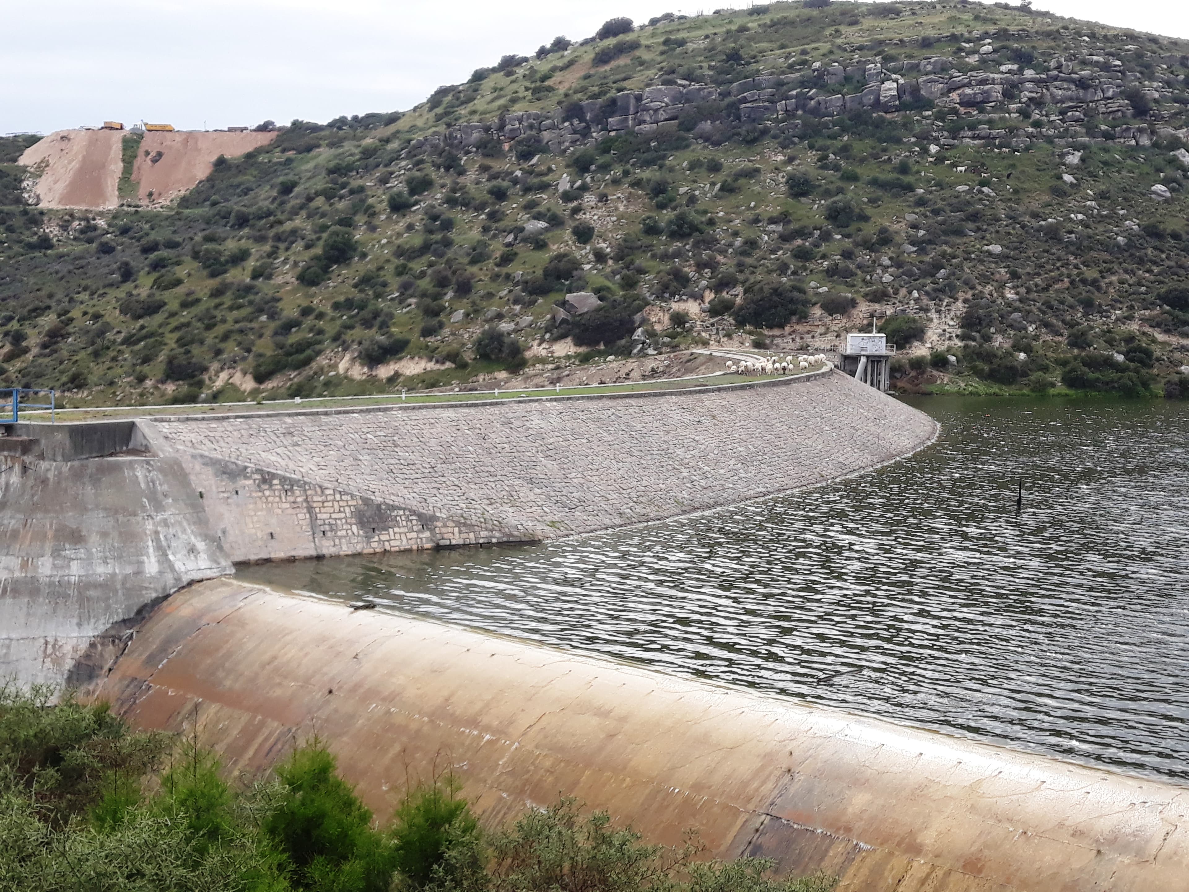 Polemidia Reservoir preview